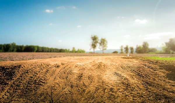 Áreas agricultáveis: um conceito fundamental para o produtor rural